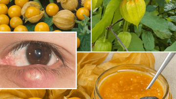 The Ultimate Miracle Drink Set to Revolutionize Your Health in 2025: A Natural Powerhouse Against Diabetes, Cancer, and High Blood Pressure