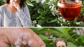 Unlock the Secret to Sharper Vision: 3 Seeds + 1 Fruit Every Senior Needs