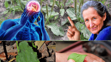 🍷 The Forbidden Love Elixir: Okra, Cloves, and Cinnamon Water That Singles Must Avoid at All Costs