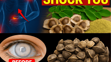 Discover the 5-Minute Ritual That Could Transform Your Bones and Reclaim Your Confidence After 65!