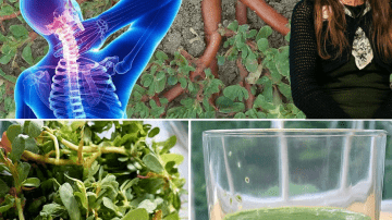 Discover the 5-Minute Ritual That Could Transform Your Bones and Reclaim Your Confidence After 65!