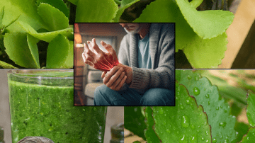 Unlock the Secret to Youthful Hair: Why Papaya Leaves Are Your Ultimate Haircare Game-Changer