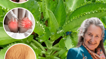 Discover the 5-Minute Ritual That Could Transform Your Bones and Reclaim Your Confidence After 65!