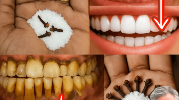 🌿 17 Life-Changing Health Benefits of Euphorbia Hirta That Will Transform Your Wellness Journey