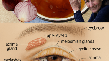 🌿 17 Life-Changing Health Benefits of Euphorbia Hirta That Will Transform Your Wellness Journey