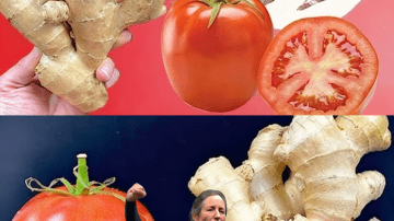 Unlock the Secret to Sharper Vision: 3 Seeds + 1 Fruit Every Senior Needs