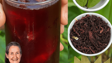 Unlock the Secret to Youthful Hair: Why Papaya Leaves Are Your Ultimate Haircare Game-Changer