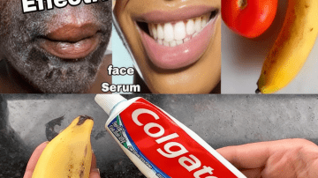 🌿 17 Life-Changing Health Benefits of Euphorbia Hirta That Will Transform Your Wellness Journey