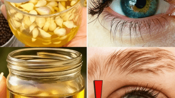 🌿 The Weed That Whispers Secrets to Your Kidneys: Unlock Goosegrass’s Hidden Power