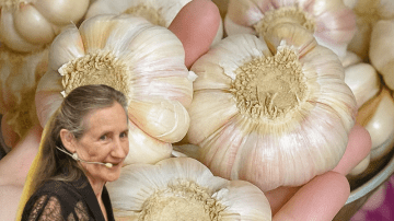 Unveiling the Hidden Power of Onions: A Natural Elixir for Bladder and Prostate Health
