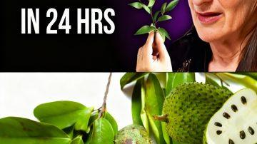 11 Natural Beauty Hacks Using Banana, Tomato, and Toothpaste (That Actually Work Safely!)