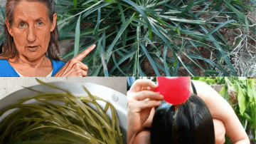 🍌 What If Boiling Green Bananas Unlocks Your Best Health Ever?