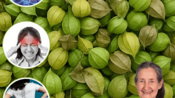 Unlock the Secret to Vibrant Health: Why Cucumber, Ginger, Mint, Lemon, and Water Should Be Your Daily Ritual