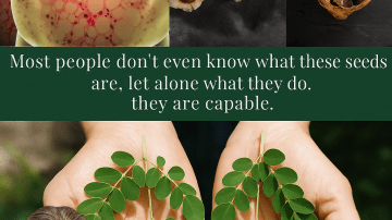 The One Drink That Wakes Up Stiff Joints Before Breakfast