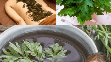 What If One Leaf Could Heal Your Body from Head to Toe?