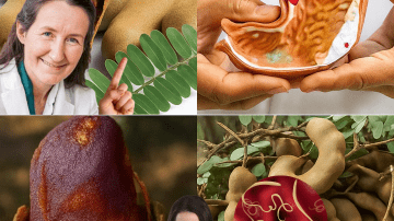 🌟 14 Amazing Benefits of Papaya Seeds & How to Use Them as Natural Remedies