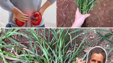 What Happens When You Add Cloves to Your Coffee? Mind-Blowing Transformation!