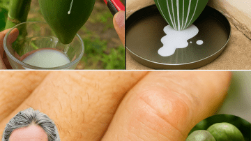 Could This Simple Nightly Drink Transform Your Health and Clear Hospital Beds?