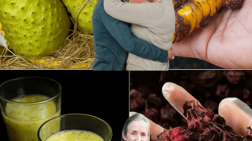 🌽 Corn Silk’s Hidden Powers: 30 Mind-Blowing Benefits for Total Wellness