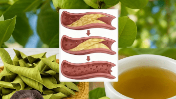 Unlock the Secret to Vibrant Health: Why Cucumber, Ginger, Mint, Lemon, and Water Should Be Your Daily Ritual