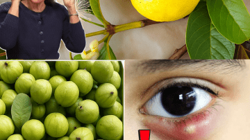 8 Natural Home Remedies to Treat Thick, Discolored Toenails