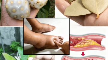 🌟 14 Amazing Benefits of Papaya Seeds & How to Use Them as Natural Remedies