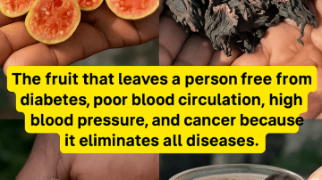 Can Guava Leaves Secretly Reverse Tooth Decay Before It’s Too Late?